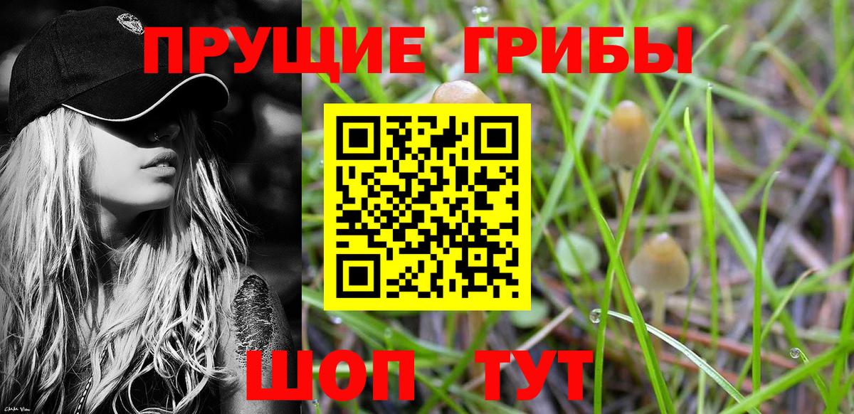 Псилоцибиновые грибы GOLDEN TEACHER Лесосибирск